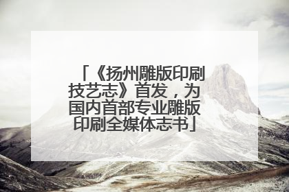 《扬州雕版印刷技艺志》首发，为国内首部专业雕版印刷全媒体志书