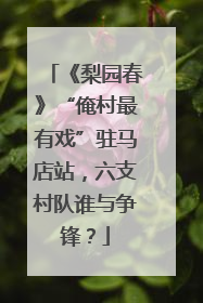 《梨园春》“俺村最有戏”驻马店站，六支村队谁与争锋？