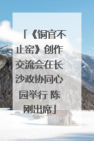 《铜官不止窑》创作交流会在长沙政协同心园举行 陈刚出席