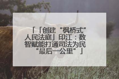 「创建“枫桥式”人民法庭」印江：数智赋能打通司法为民“最后一公里”