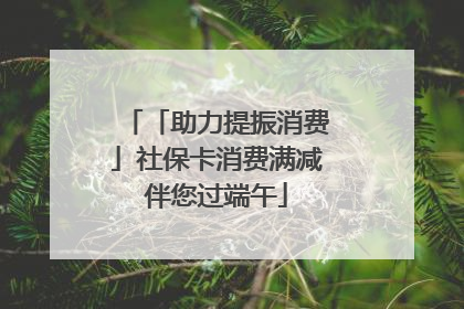 「助力提振消费」社保卡消费满减伴您过端午