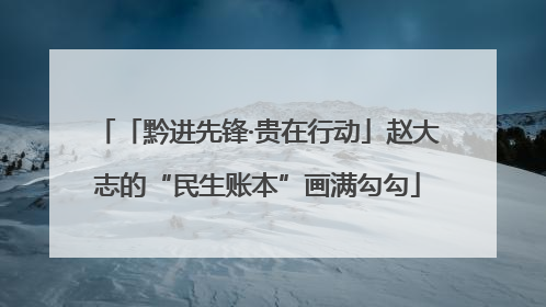 「黔进先锋·贵在行动」赵大志的“民生账本”画满勾勾