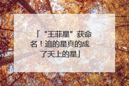 “王菲星”获命名！追的星真的成了天上的星