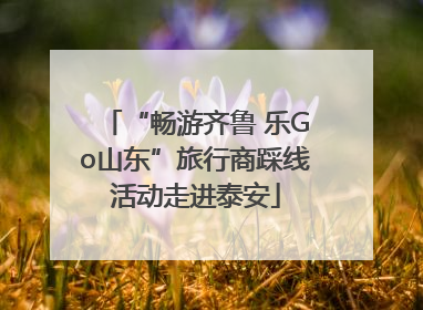 “畅游齐鲁 乐Go山东”旅行商踩线活动走进泰安