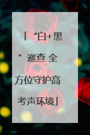 “白+黑”巡查 全方位守护高考声环境