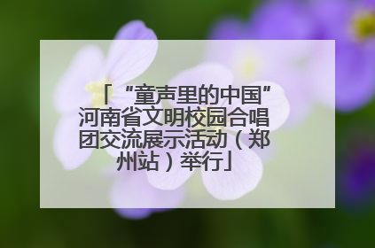 “童声里的中国”河南省文明校园合唱团交流展示活动（郑州站）举行