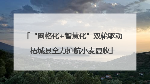 “网格化+智慧化”双轮驱动 柘城县全力护航小麦夏收