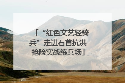 “红色文艺轻骑兵”走进石首抗洪抢险实战练兵场