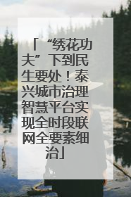 “绣花功夫”下到民生要处！泰兴城市治理智慧平台实现全时段联网全要素细治