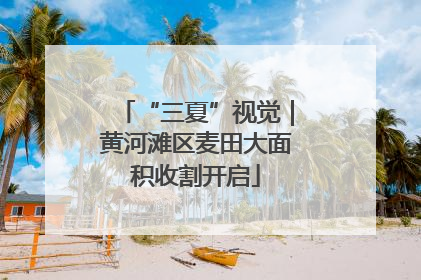 “三夏”视觉｜黄河滩区麦田大面积收割开启