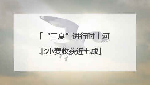 “三夏”进行时丨河北小麦收获近七成