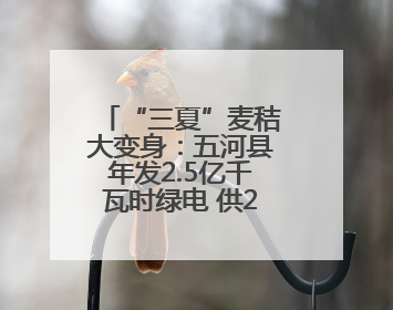 “三夏”麦秸大变身：五河县年发2.5亿千瓦时绿电 供20万吨蒸汽