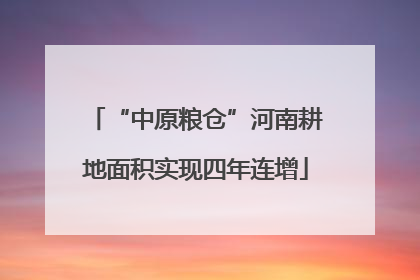 “中原粮仓”河南耕地面积实现四年连增