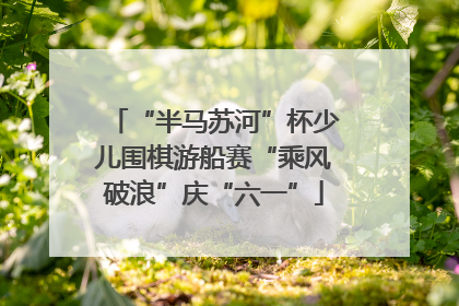 “半马苏河”杯少儿围棋游船赛“乘风破浪”庆“六一”