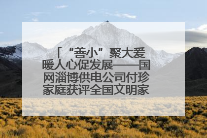 “善小”聚大爱 暖人心促发展——国网淄博供电公司付珍家庭获评全国文明家庭背后的文明密码