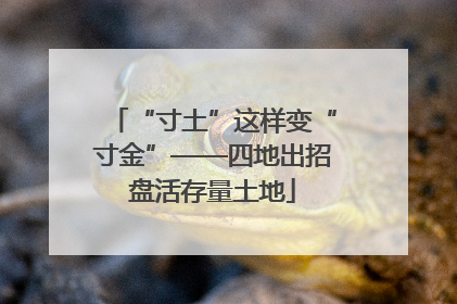 “寸土”这样变“寸金”——四地出招盘活存量土地