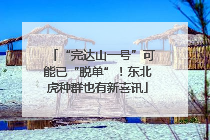 “完达山一号”可能已“脱单”！东北虎种群也有新喜讯
