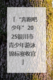 “奔跑吧少年”2025银川市青少年游泳锦标赛收官