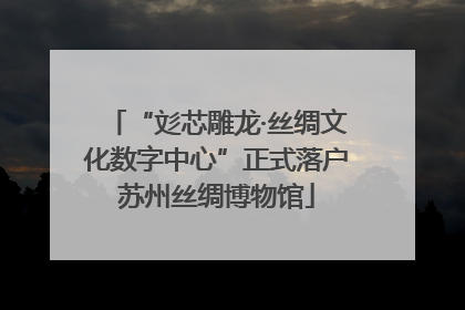 “彣芯雕龙·丝绸文化数字中心”正式落户苏州丝绸博物馆