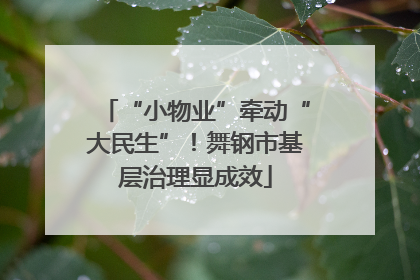 “小物业”牵动“大民生”！舞钢市基层治理显成效