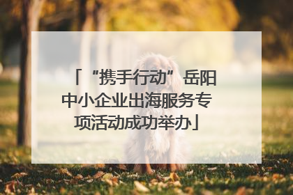 “携手行动”岳阳中小企业出海服务专项活动成功举办