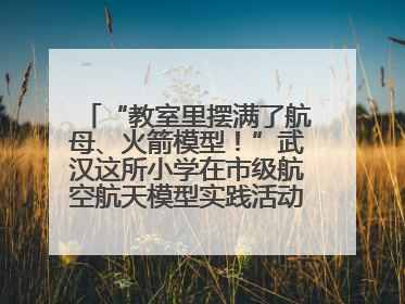 “教室里摆满了航母、火箭模型！”武汉这所小学在市级航空航天模型实践活动中获佳绩