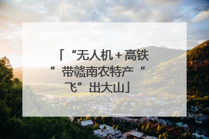 “无人机＋高铁”带赣南农特产“飞”出大山