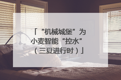 “机械城堡”为小麦智能“控水”（三夏进行时）
