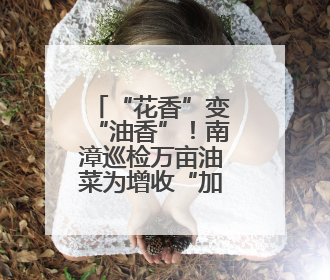 “花香”变“油香”！南漳巡检万亩油菜为增收“加油”！