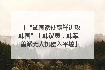 “试图诱使朝鲜进攻韩国”！韩议员：韩军曾派无人机侵入平壤