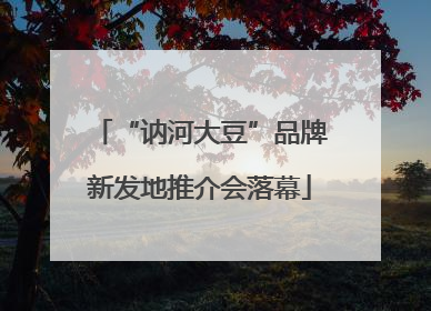 “讷河大豆”品牌新发地推介会落幕