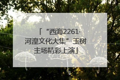 “西海2261·河湟文化大集”玉树主场精彩上演