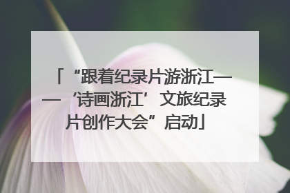 “跟着纪录片游浙江——‘诗画浙江’文旅纪录片创作大会”启动