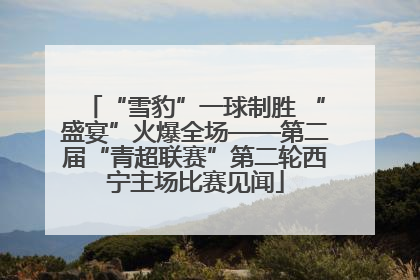 “雪豹”一球制胜 “盛宴”火爆全场——第二届“青超联赛”第二轮西宁主场比赛见闻