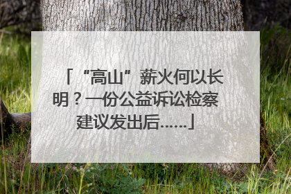“高山”薪火何以长明？一份公益诉讼检察建议发出后……