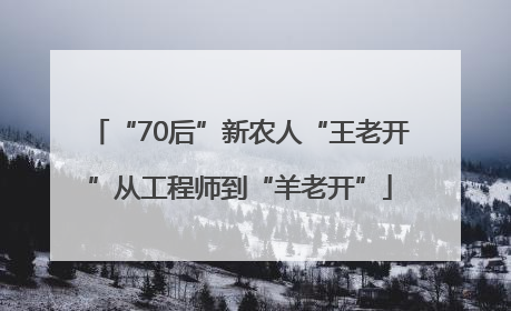 “70后”新农人“王老开”从工程师到“羊老开”