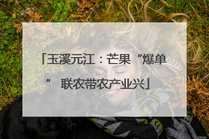 玉溪元江：芒果“爆单” 联农带农产业兴