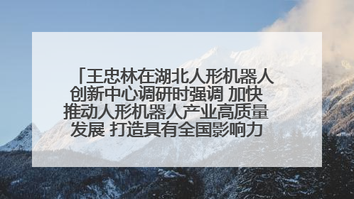 王忠林在湖北人形机器人创新中心调研时强调 加快推动人形机器人产业高质量发展 打造具有全国影响力的研发创新基地