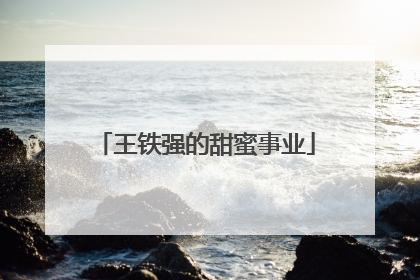 王铁强的甜蜜事业
