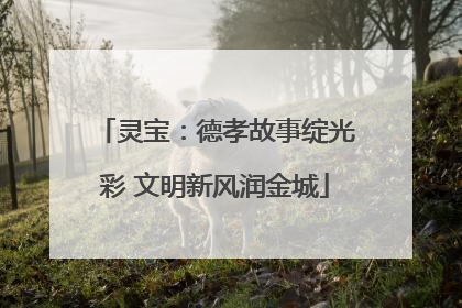 灵宝：德孝故事绽光彩 文明新风润金城