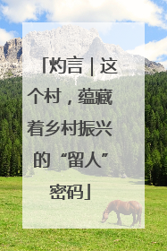 灼言｜这个村，蕴藏着乡村振兴的“留人”密码