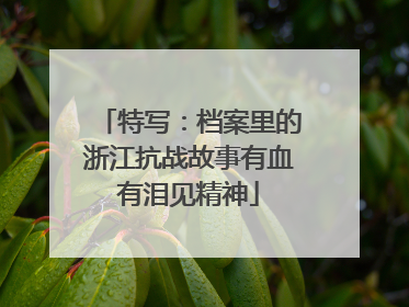 特写：档案里的浙江抗战故事有血有泪见精神