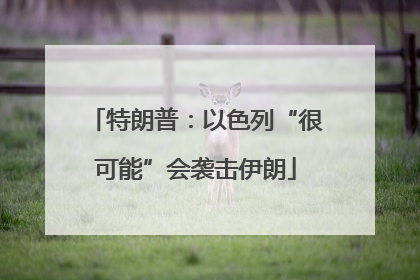 特朗普：以色列“很可能”会袭击伊朗