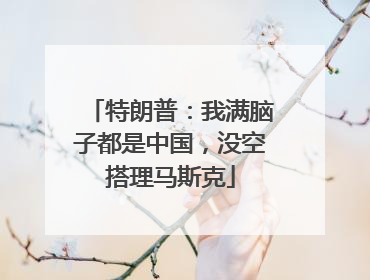 特朗普：我满脑子都是中国，没空搭理马斯克