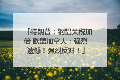 特朗普：钢铝关税加倍 欧盟加拿大：强烈遗憾！强烈反对！