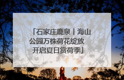 石家庄鹿泉丨海山公园万株荷花绽放 开启夏日赏荷季