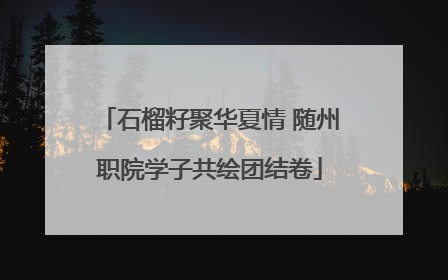 石榴籽聚华夏情 随州职院学子共绘团结卷