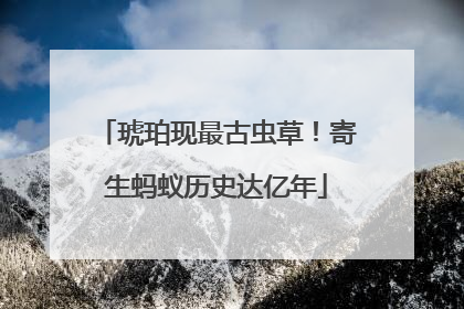 琥珀现最古虫草！寄生蚂蚁历史达亿年