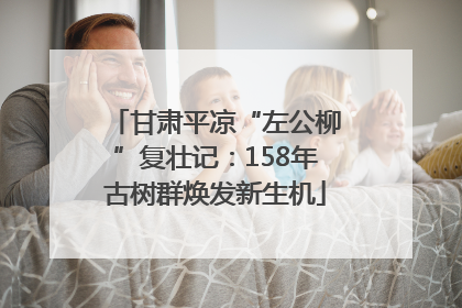 甘肃平凉“左公柳”复壮记：158年古树群焕发新生机