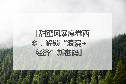 甜蜜风暴席卷西乡，解锁“浪漫+经济”新密码